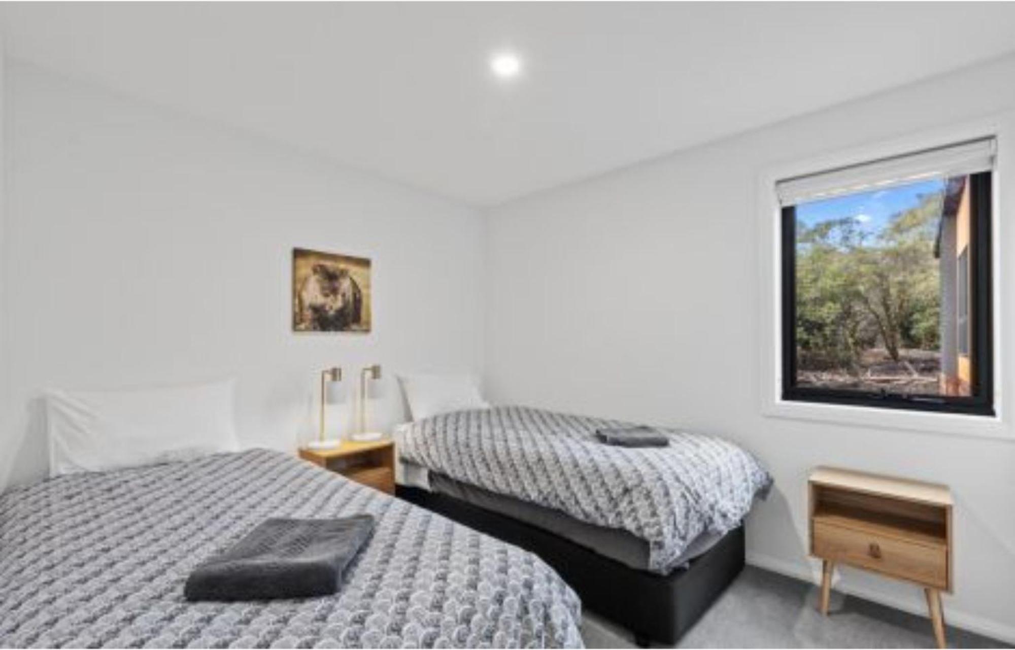 Discovery Parks - Cradle Mountain Bilik gambar