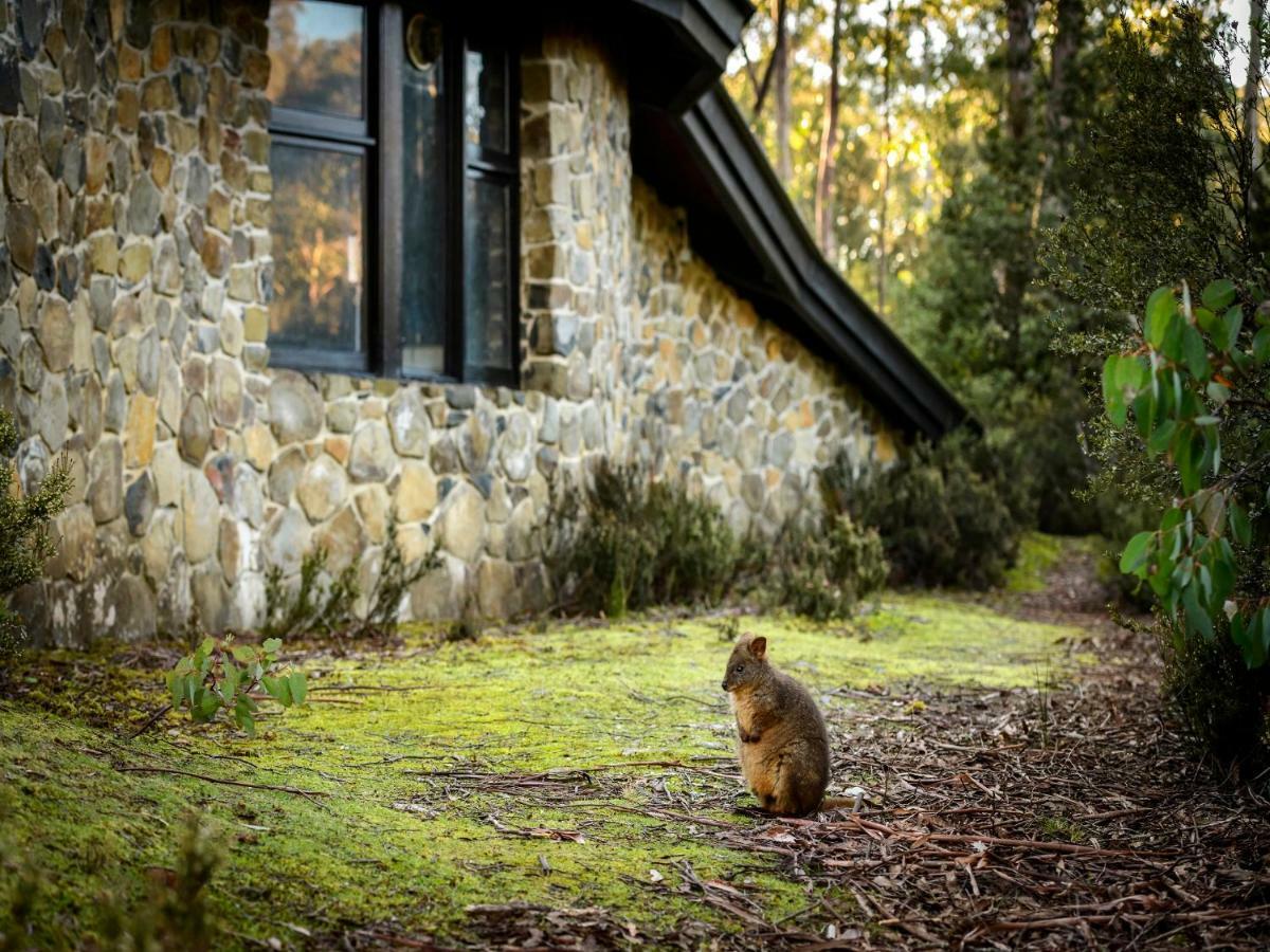 Discovery Parks - Cradle Mountain Luaran gambar